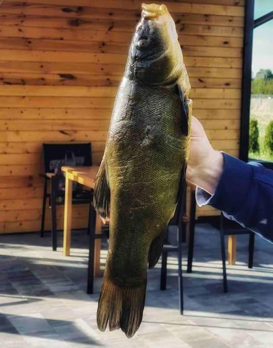 Zakatek Na Mazurach I Kalinowo, Romoty Casa vacanze Kallinowen